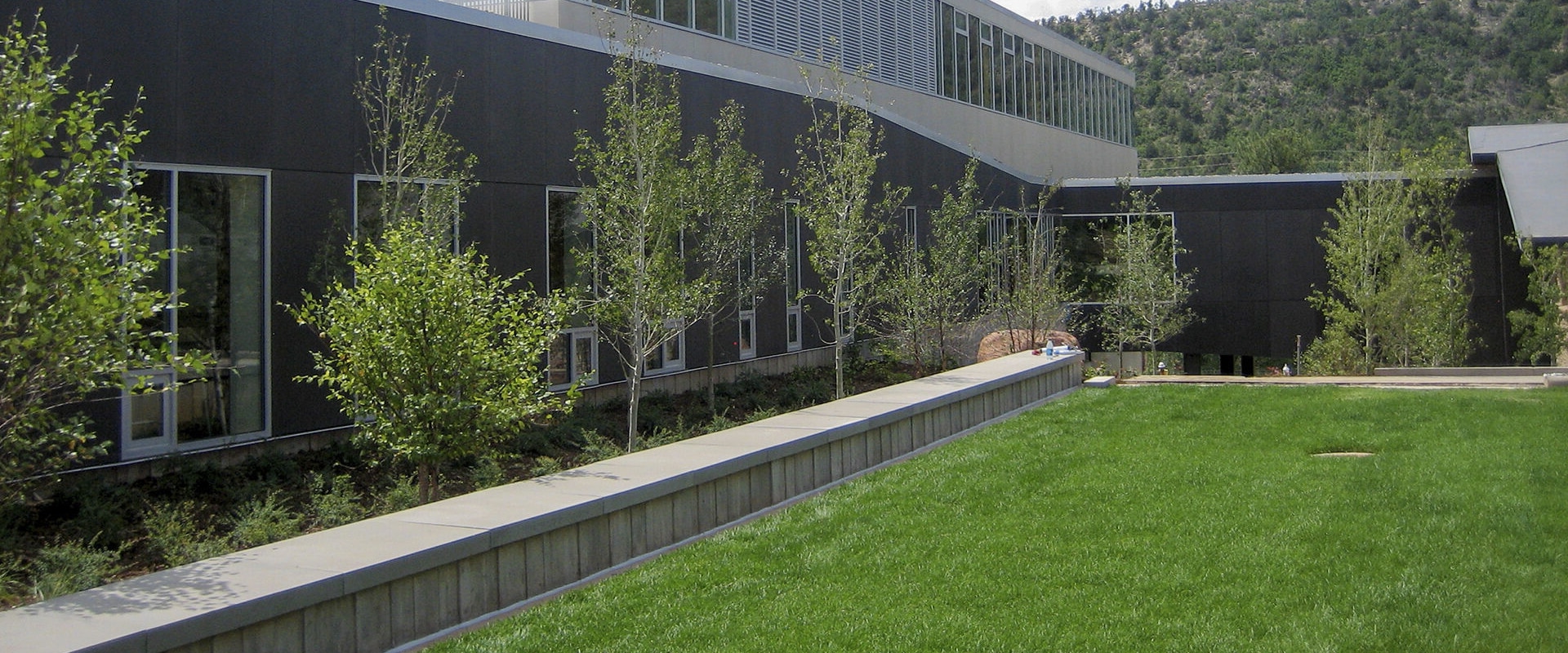 Le Lewis College est-il le bon choix pour vous ?