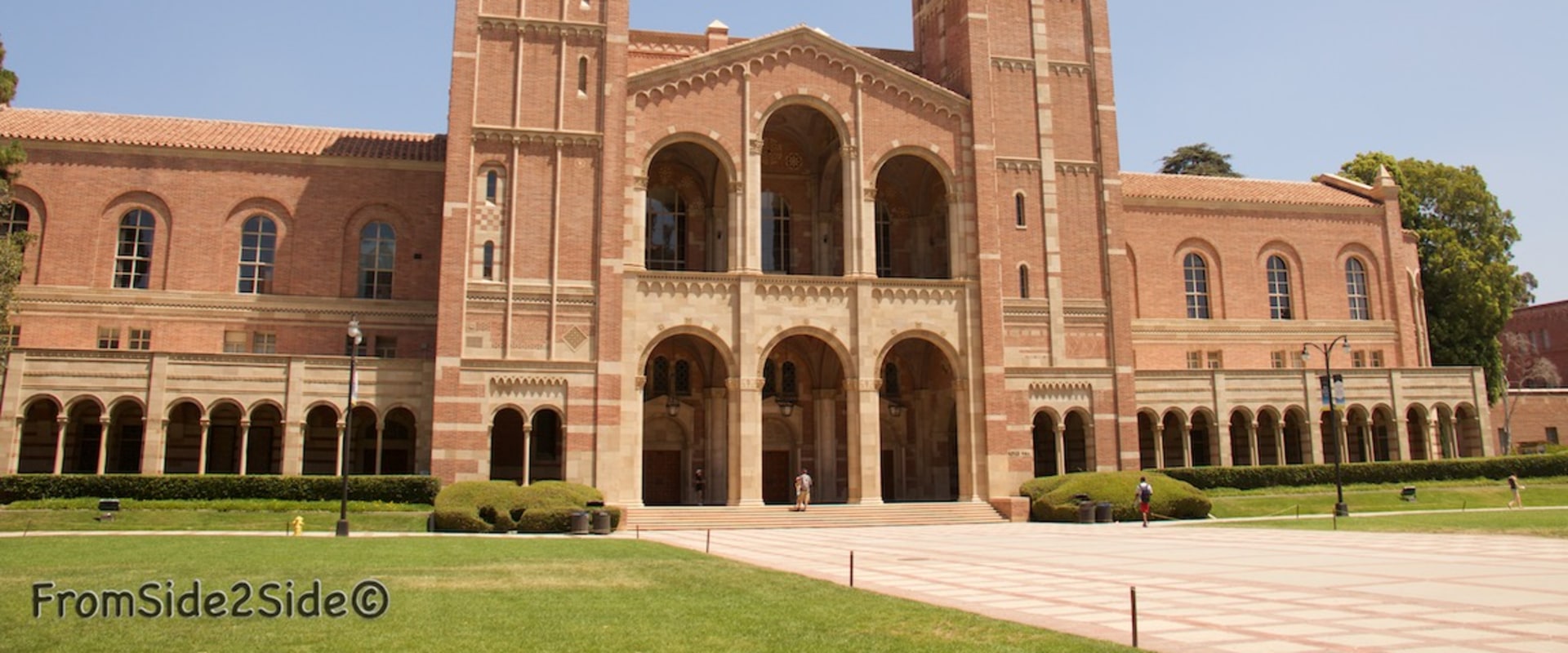 L'université Lewis est-elle le bon choix pour vous ?