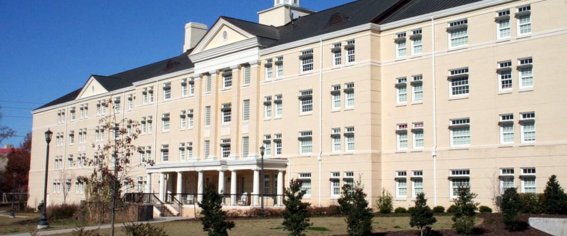 L'université Lewis est-elle une institution privée ?