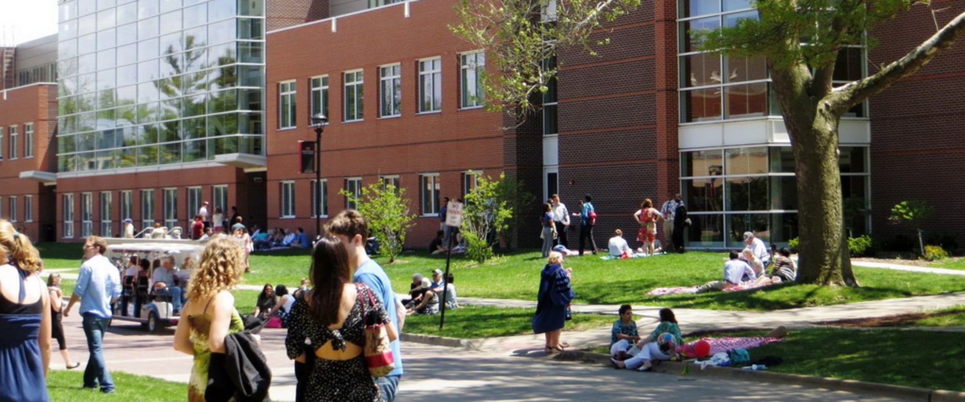 Quel est le taux d'acceptation à l'université Lewis ?