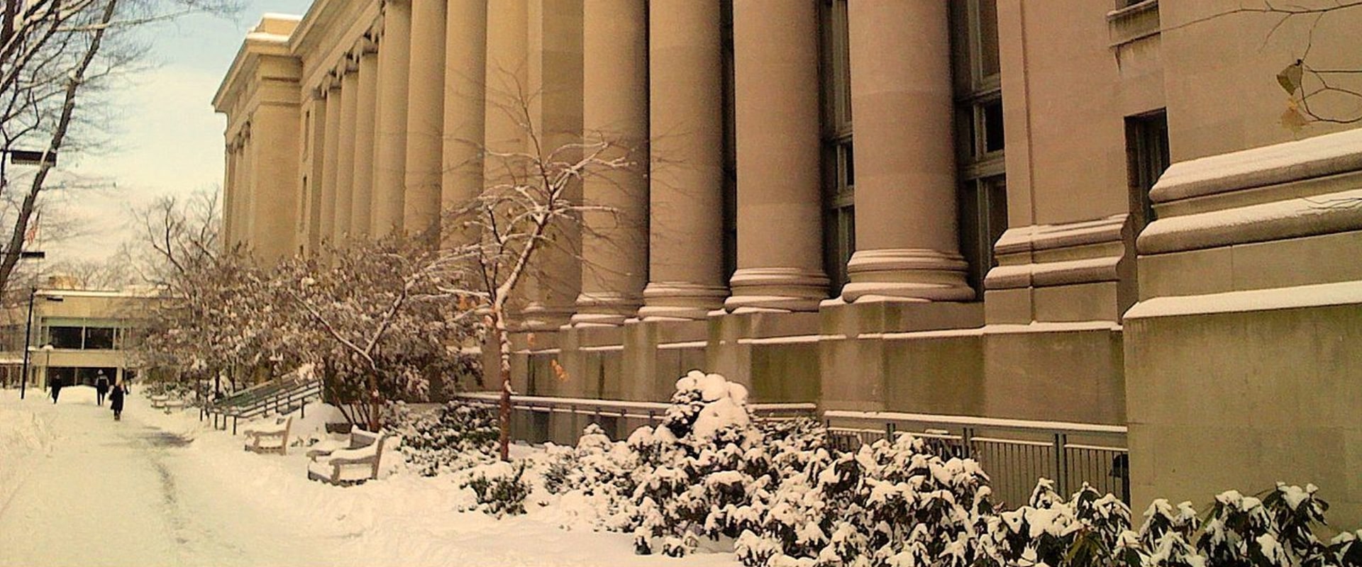 L'université Lewis est-elle une école prestigieuse ?