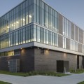 Le Lewis College est-il le bon choix pour vous ?