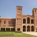 L'université Lewis est-elle le bon choix pour vous ?