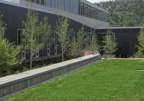 Le Lewis College est-il le bon choix pour vous ?